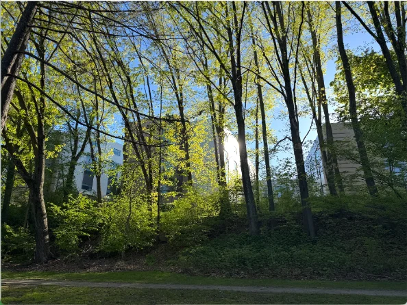 Doherty Memorial High School seen across the open grass of Newton Hill park